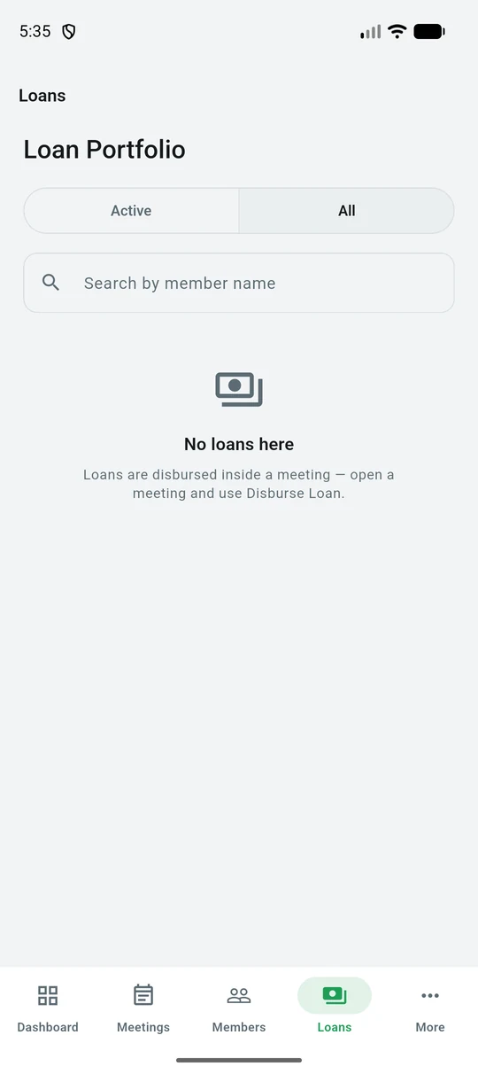 The loans tab for the group
