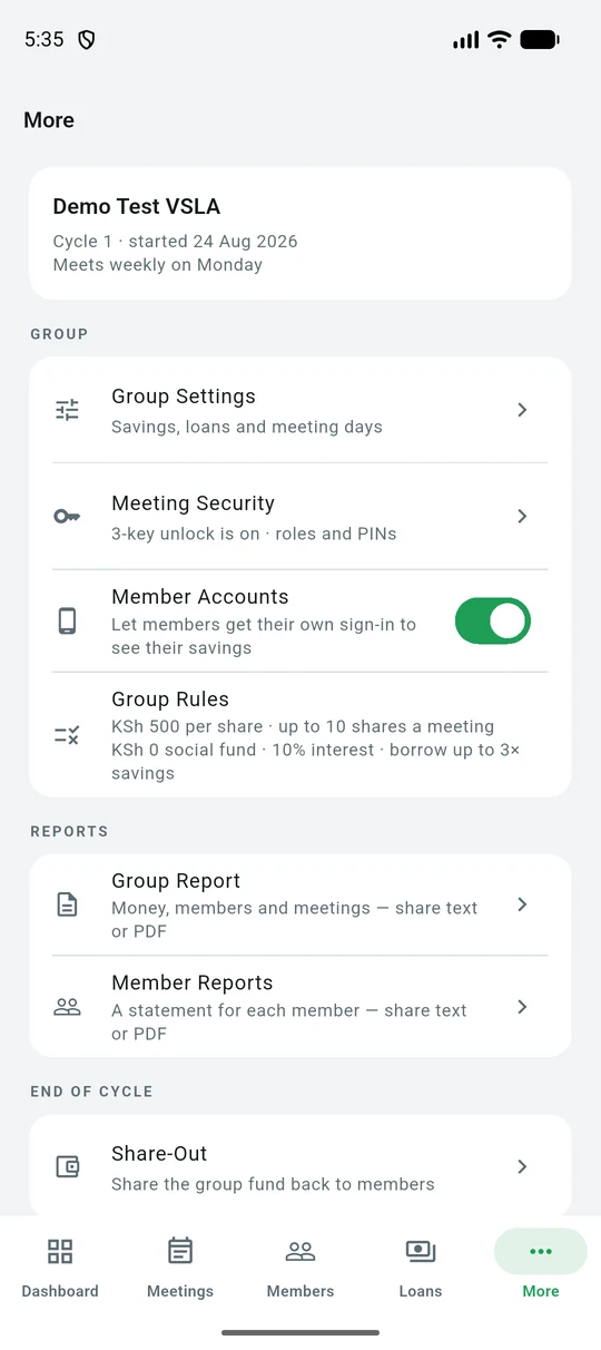 The More tab with group settings and reports